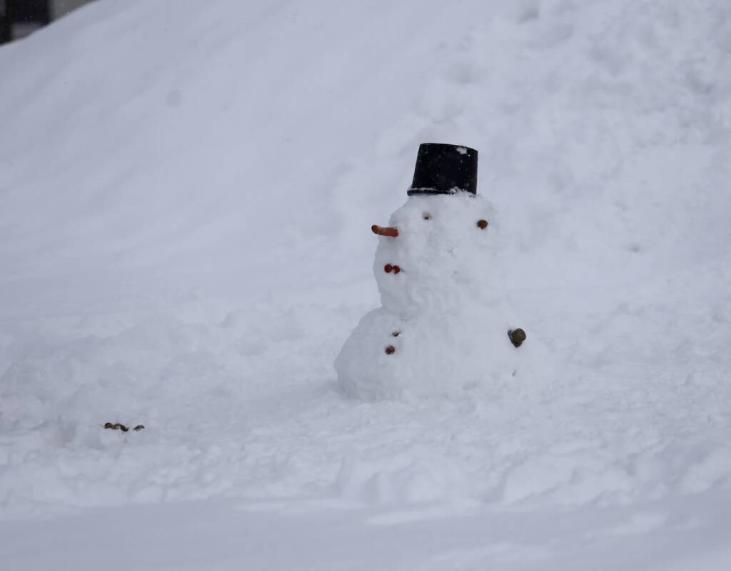 img 5266 2025 01 11 160953