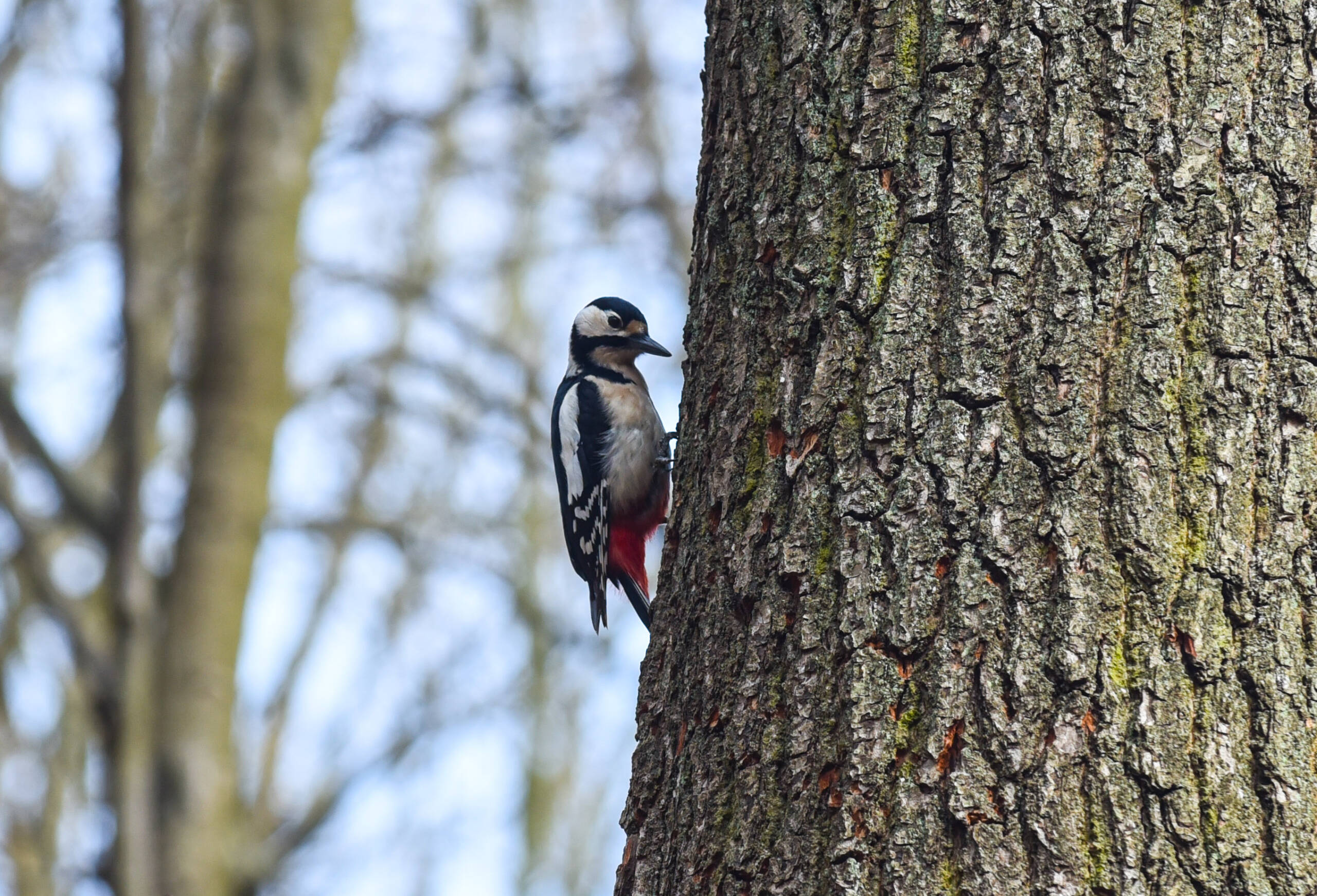Wiosenna aura zostanie z nami do piątku. Co czeka nas w weekend? 2 KRA (24).JPG