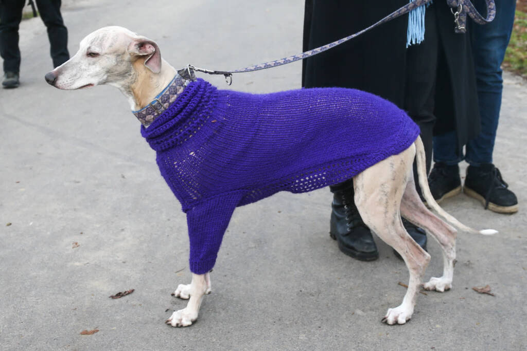 lw1 6211 2025 01 26 140201