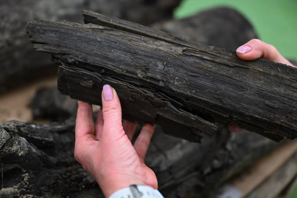 mid 25123517 2025 01 24 222933