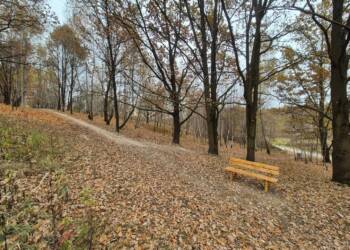 miejsca objete projektami zb 2024 naturalnie w miescie fot. miasto lublin 2 2025 01 18 085138