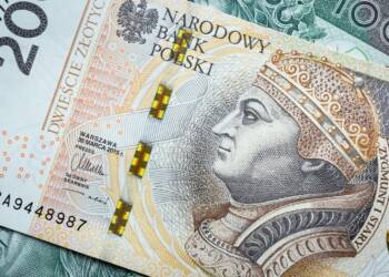 pexels lukaszradziejewski 8366387 2025 01 06 104034