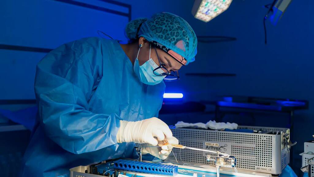 pexels manuel meza 142143 30073670 2025 01 27 083746