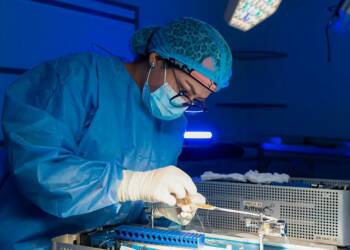 pexels manuel meza 142143 30073670 2025 01 27 083746