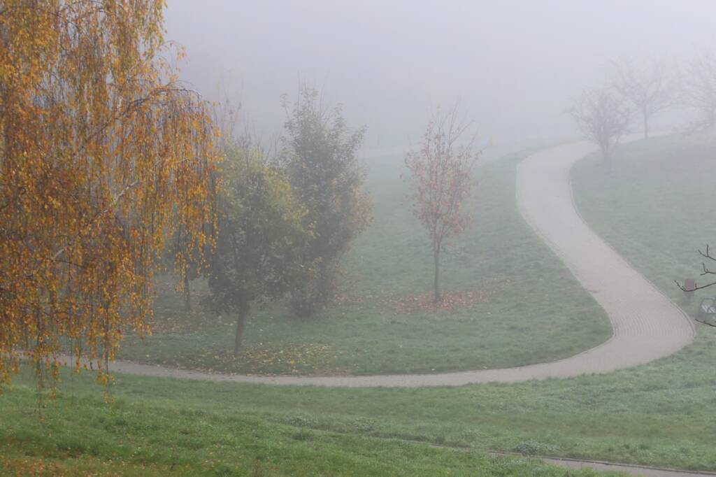 IMGW: Początek tygodnia z licznymi rozpogodzeniami, ale tworzyć się będą gęste mgły 1 pm mgla 011120 022 2024 10 25 193534 2025 01 20 144031