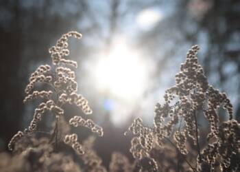 pm pejzaze 230125 001 2025 01 24 002422