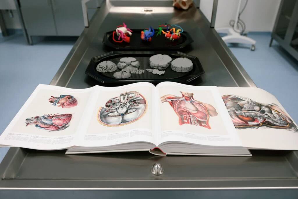 pm prosektorium 300125 010 2025 01 30 180419