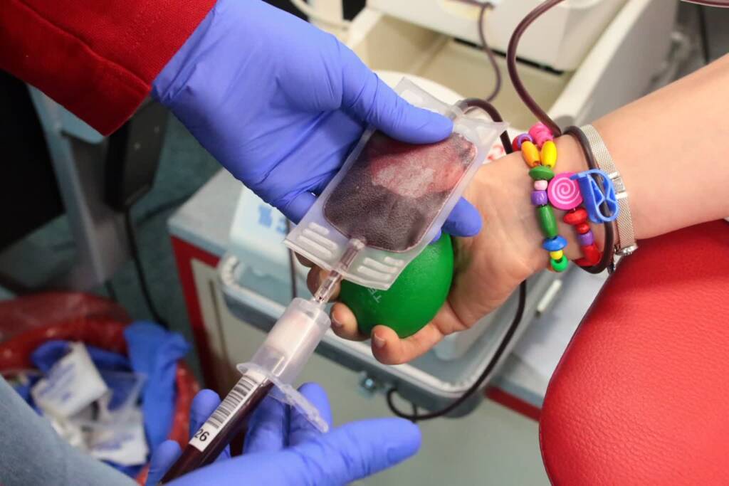 pm pzl 040322 011 1 2024 11 26 065346 2025 01 19 082840