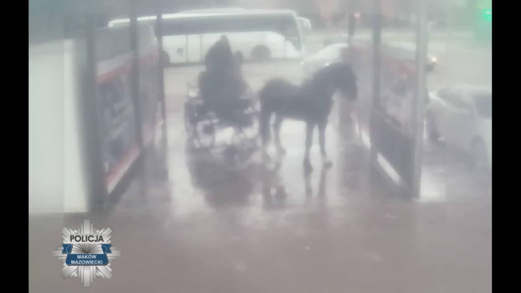 policja makow1 2025 01 19 205424