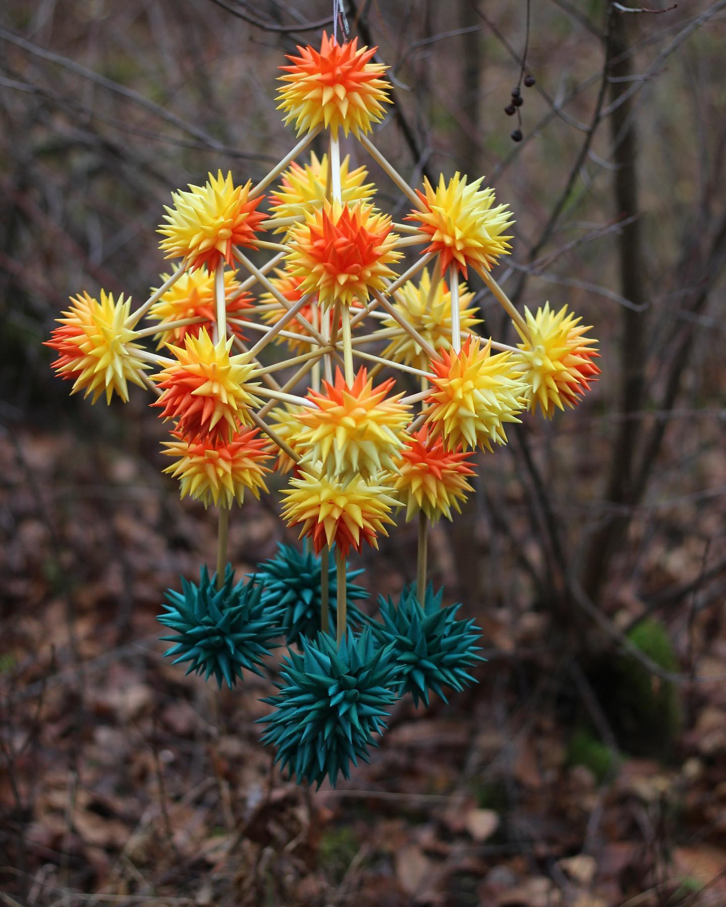 Lubelskie pająki na liście dziedzictwa kulturowego! 2 Urszula Panasiuk, pająk krystaliczny_ fot. U. Panasiuk.jpg