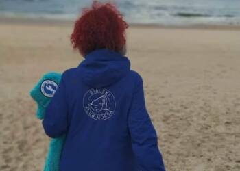 321627500 1485195452003719 4071090711111213286 n 2025 02 03 180348