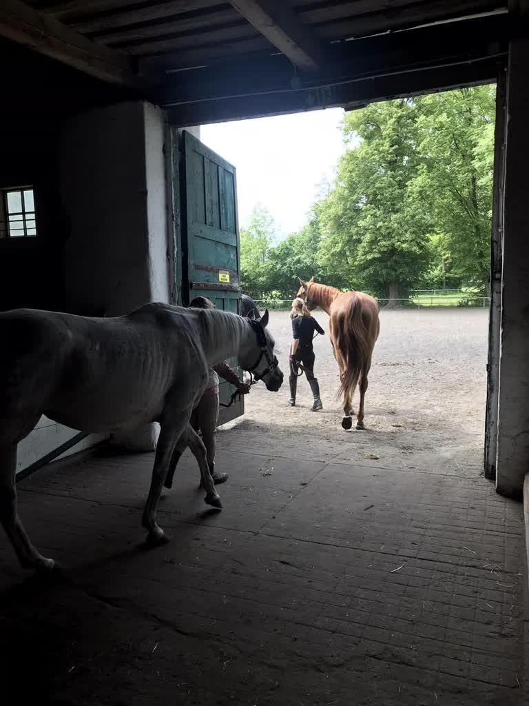 W tym roku bez pierwszej klasy. Co dalej z Technikum Hodowli Koni? 2 441529084_968565548609055_2496505387844171299_n.jpg