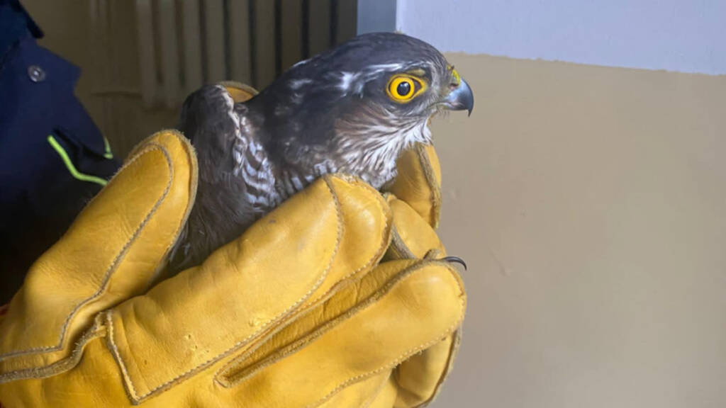 473728259 555902587451318 8851357816712349192 n 2025 02 02 181512