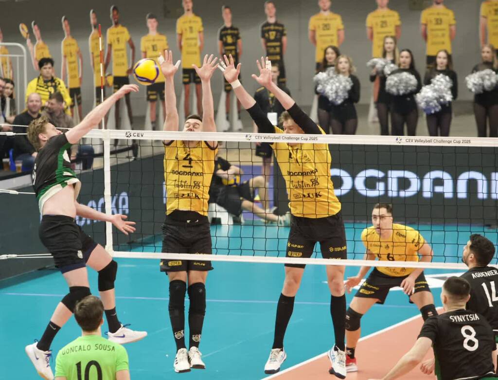 6k3d4720 2025 02 28 154700