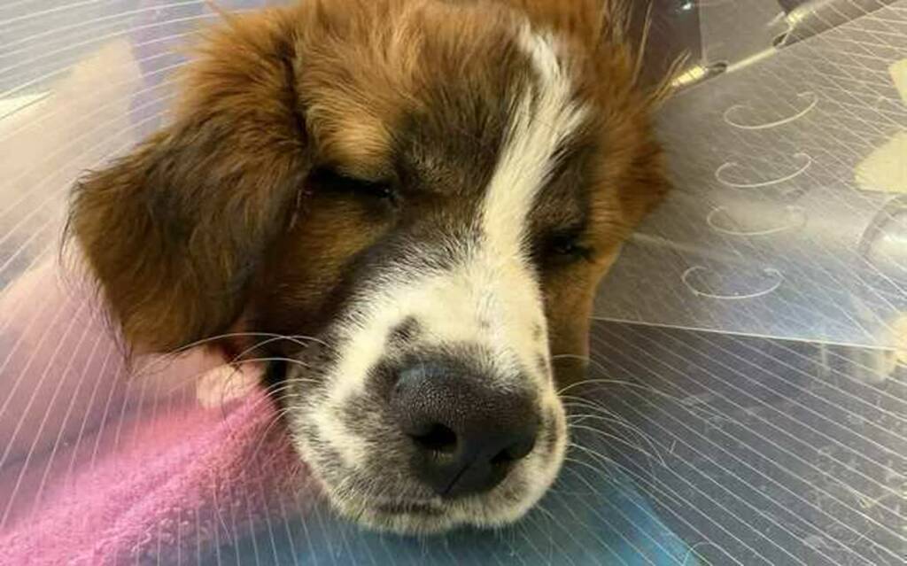 content c97e3eec 3cbe 467c b51f 73624d8da454 2025 02 01 172059