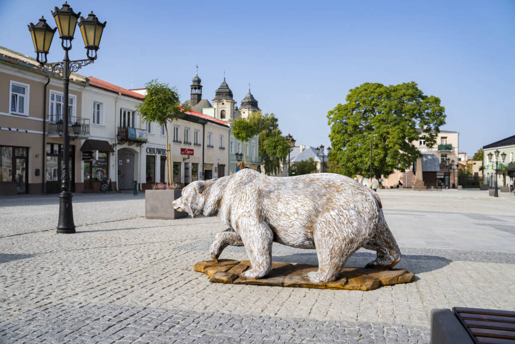 dsc00573 2025 02 24 100359