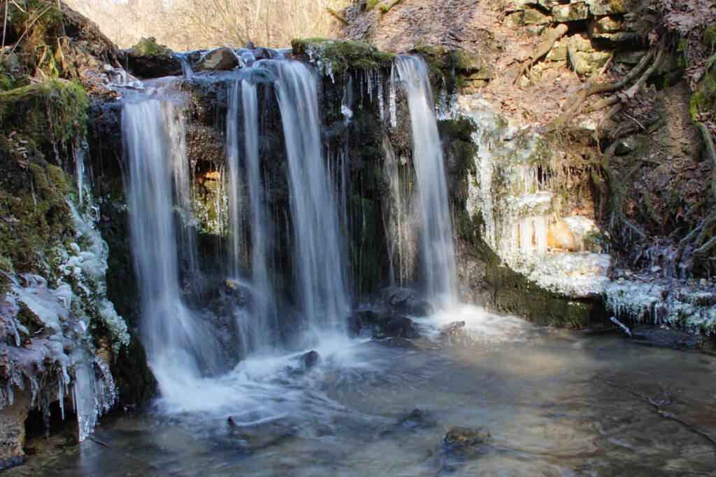 dsc06950 2025 02 09 205142