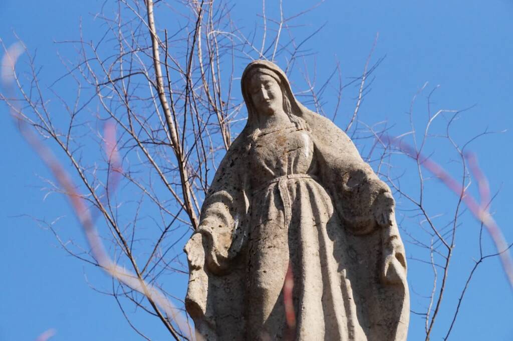 dsc08198 2025 02 23 235009