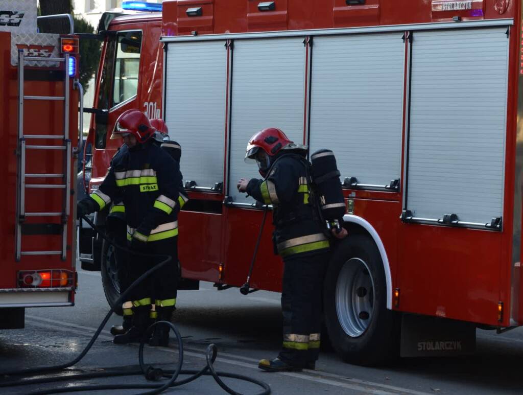 dsc 1301 3 2025 02 07 143323