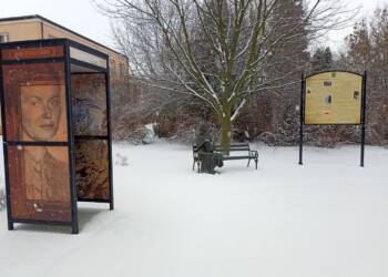 img 20250214 120136 2025 02 14 153136