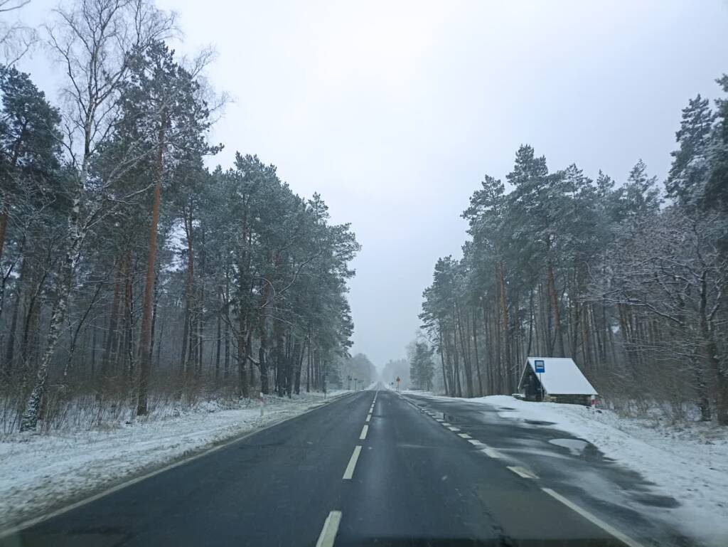 img 20250214 121905 2025 02 14 194805