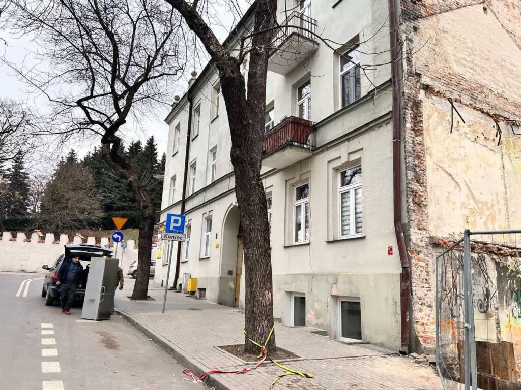 img 5445 2025 02 03 060552