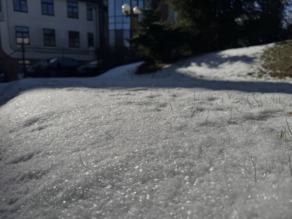 img 6176 2025 02 17 230151