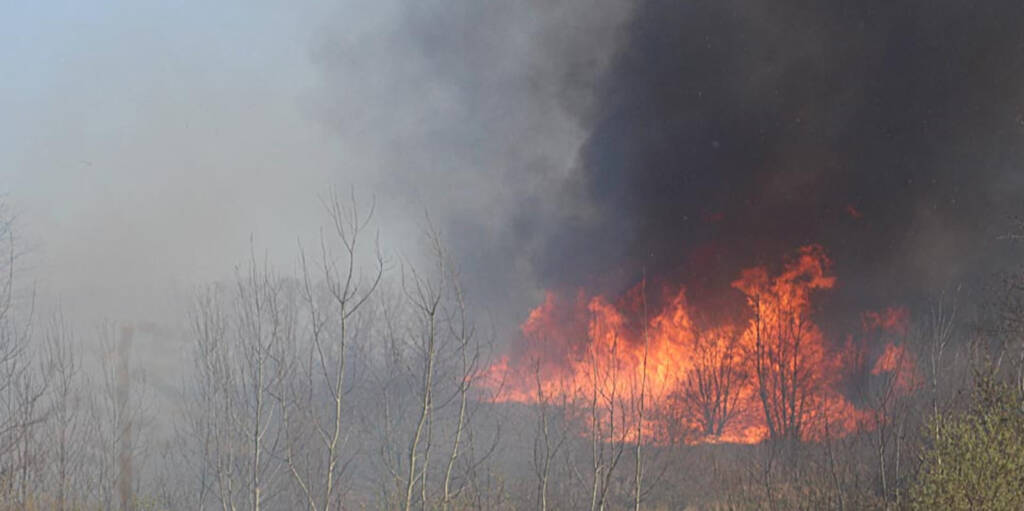 img 7157 2025 02 23 155317