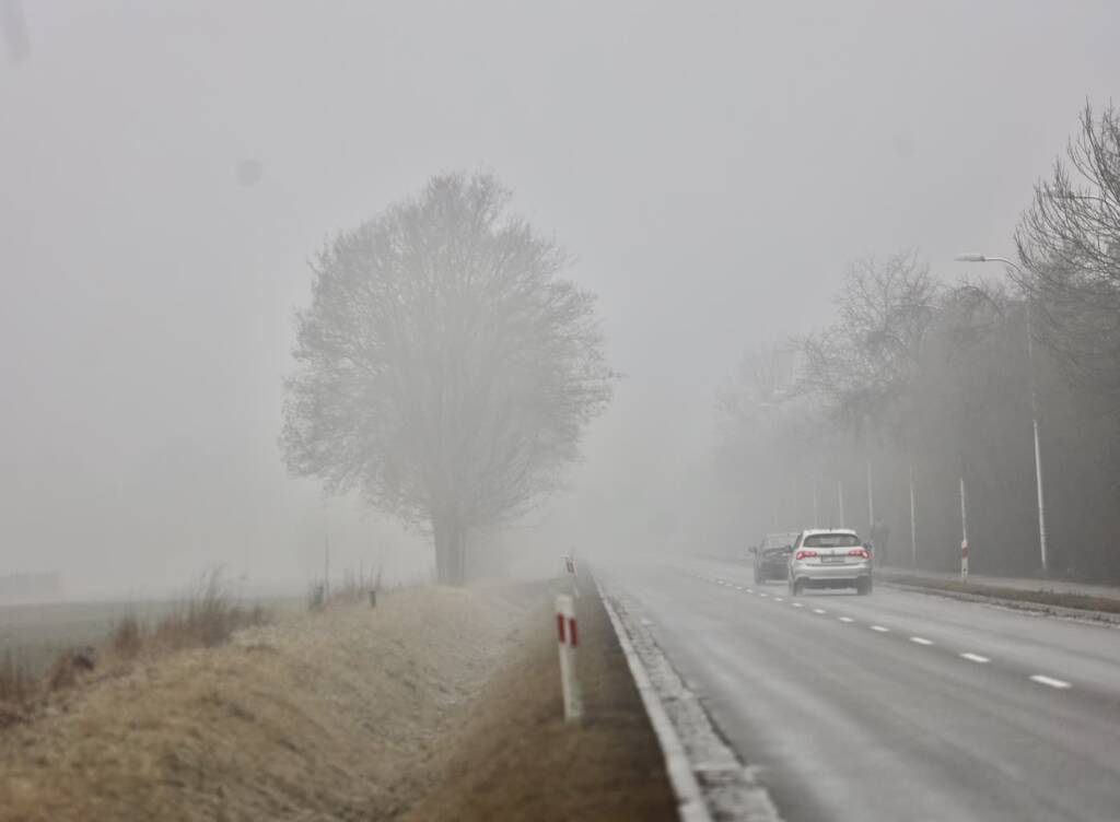 img 7633 2025 02 28 122256