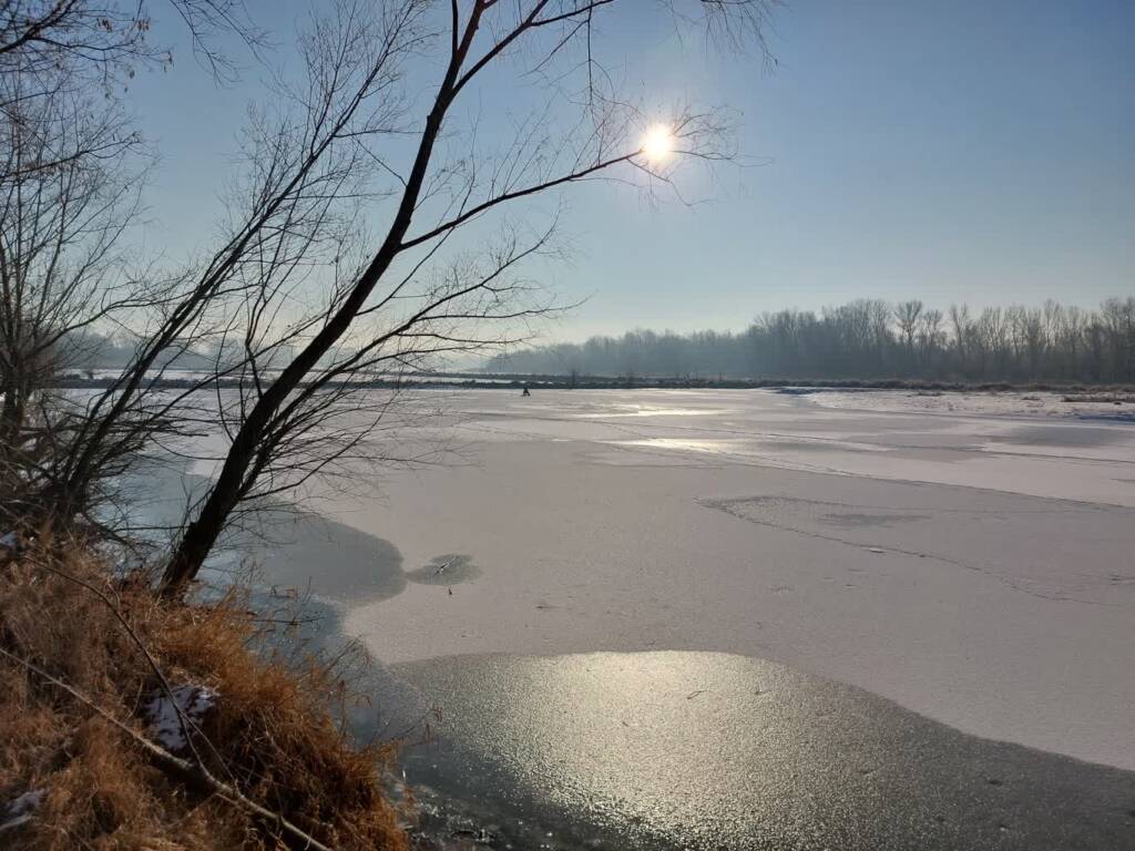 lod1 2025 02 18 233043