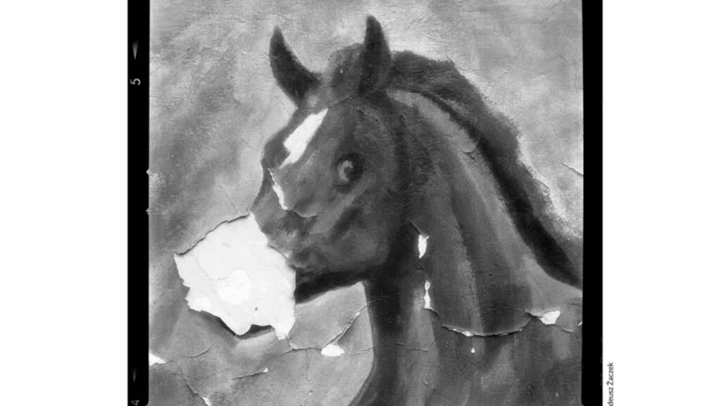 ppb 2024 2025 02 27 123254