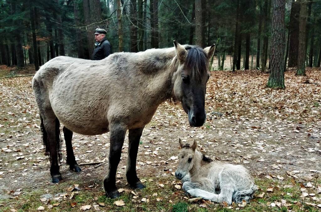 20200206 103026 2025 03 09 075852