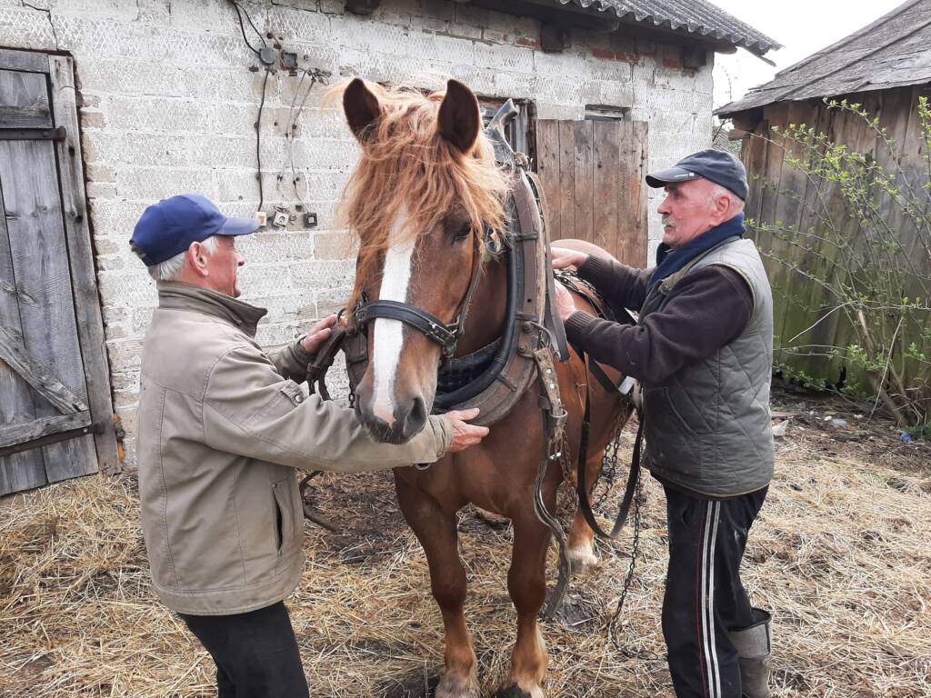 250836537 4756169984434183 2966022532391536803 n 2025 03 12 201252