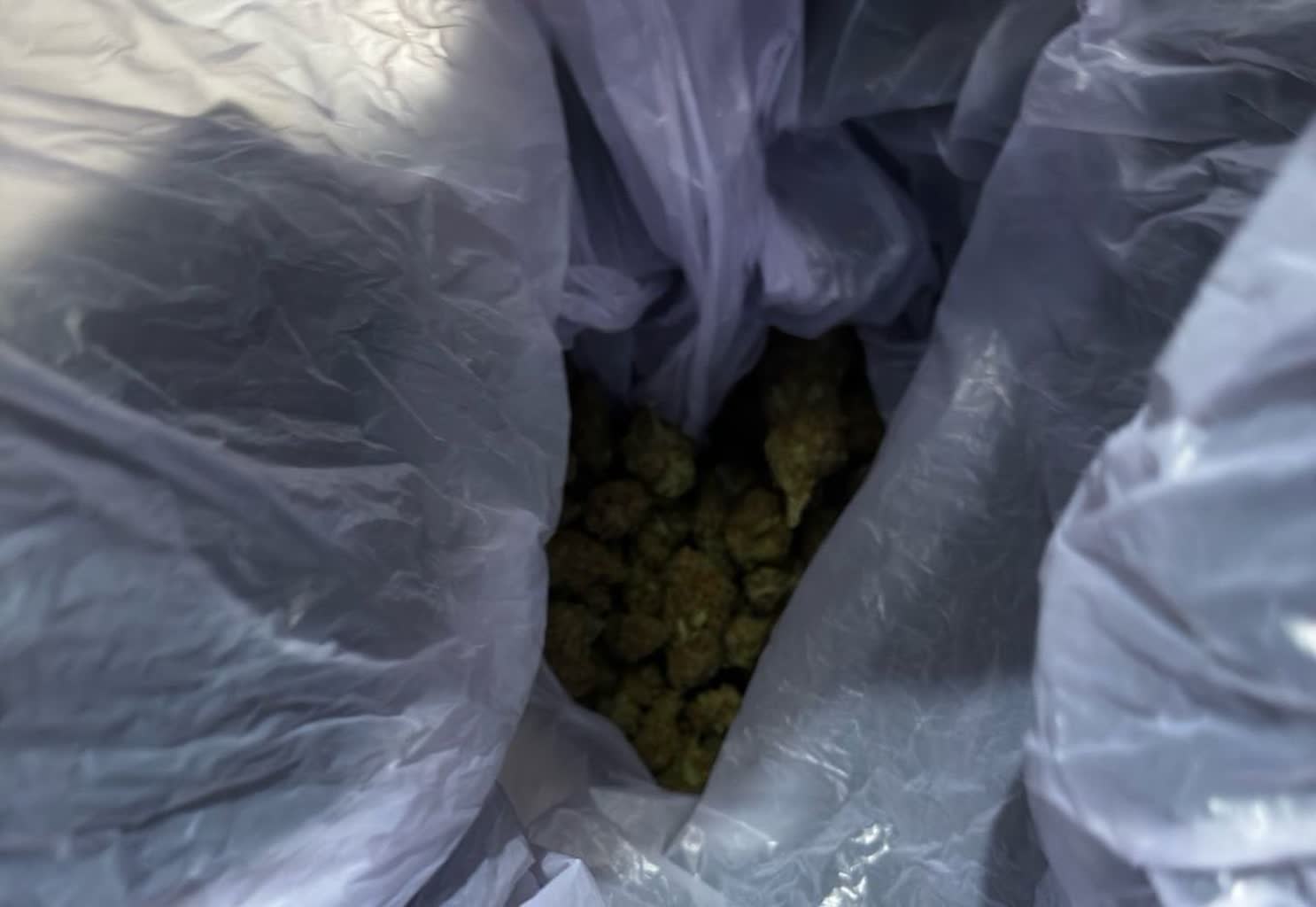 Narkotyki w mieszkaniu. Policja zatrzymała 16-latkę 2 350-262728.jpg