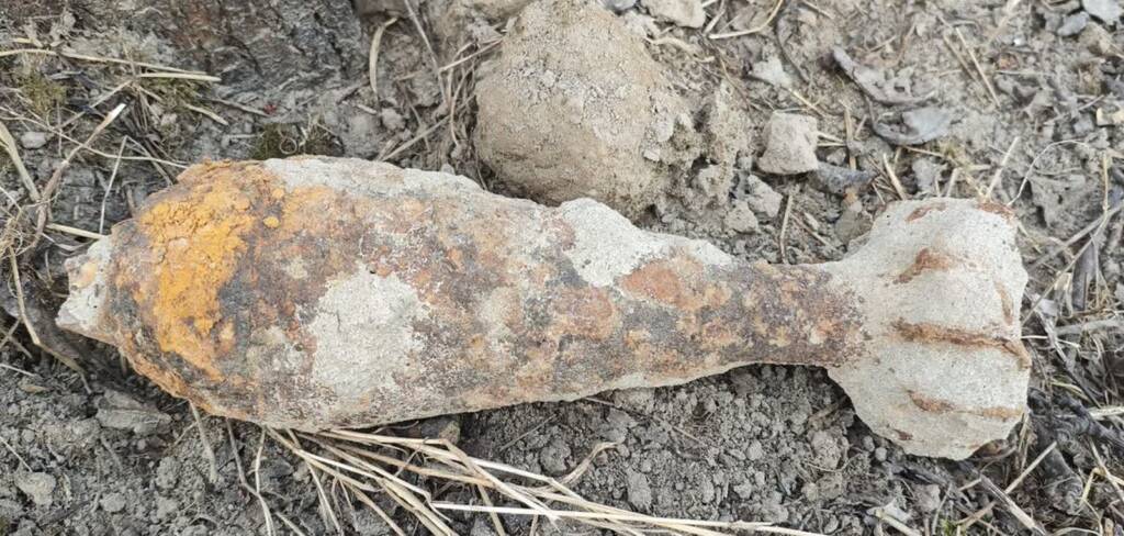 355 262185 2025 03 11 204638