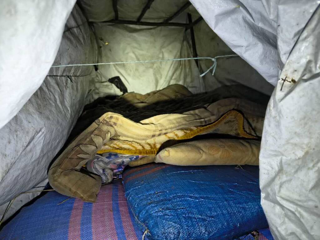 Z leśnych ostępów za kraty. Poszukiwany ukrywał się w szałasie 2 356 262692 2025 03 18 134319