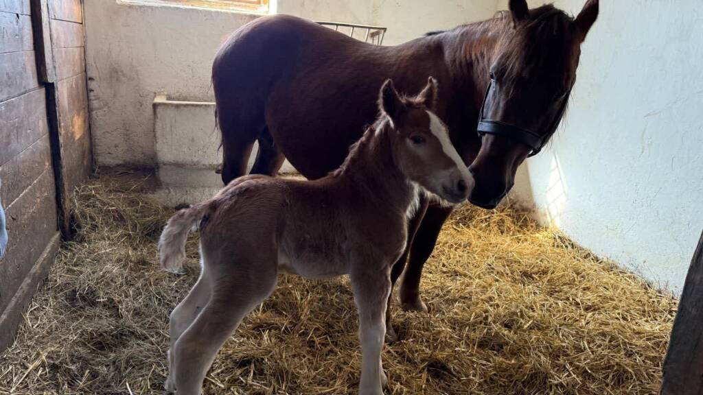 480603041 1074151268080280 4736332721118365706 n 2025 03 19 123952