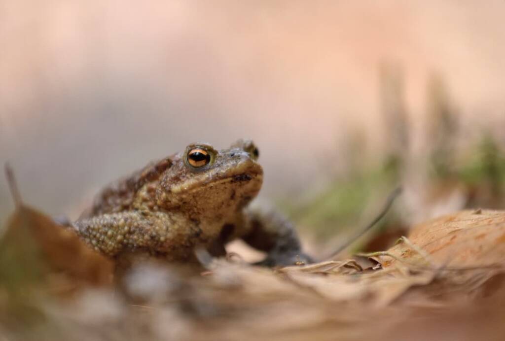 480770966 971782695059312 6275458357903207067 n 2025 03 13 165235