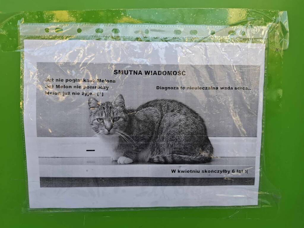 481648590 961727636110812 5036459460084208876 n 2025 03 04 162840