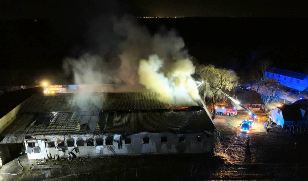 481656578 1137322024754476 8611496041373025739 n 2025 03 06 061341