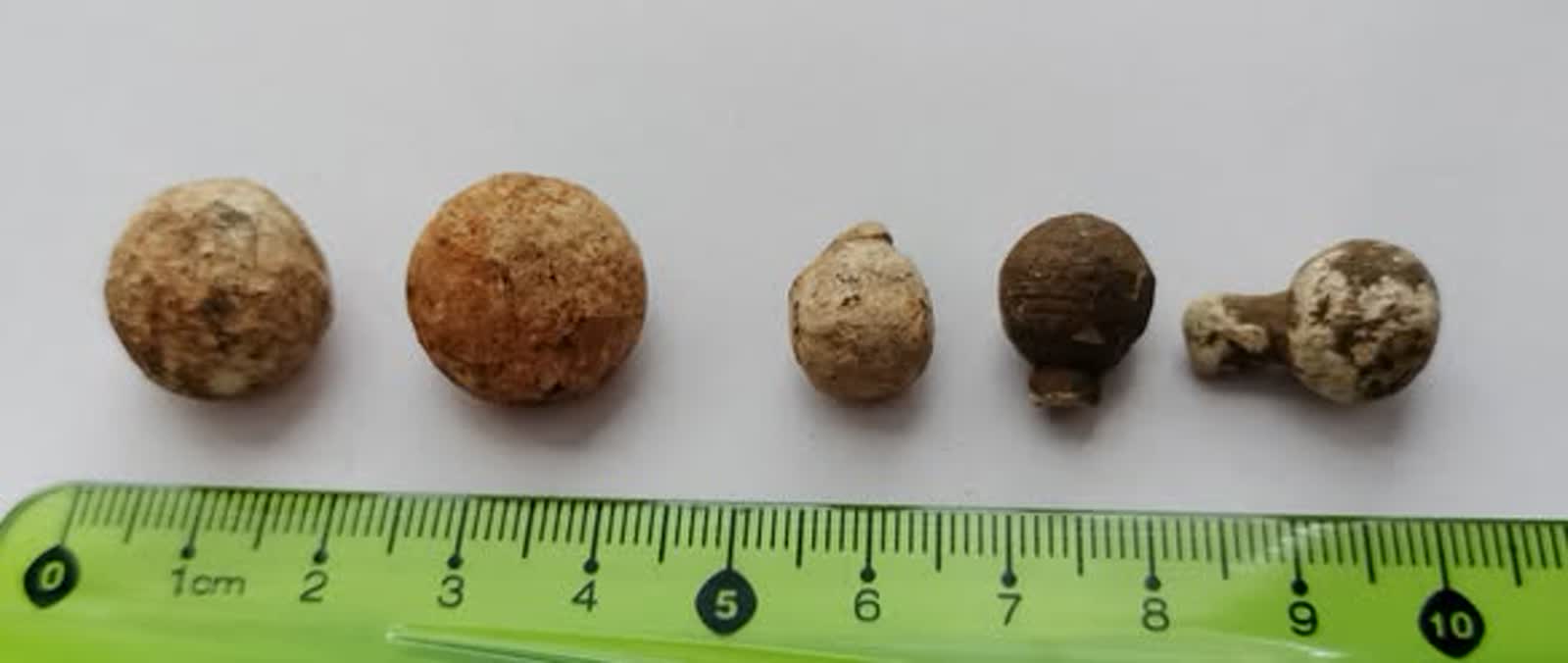 Amunicja z czasów zrywu niepodległościowego. Znalezisko w gminie Józefów 3 482115923_952437303669946_863748261647422065_n.jpg