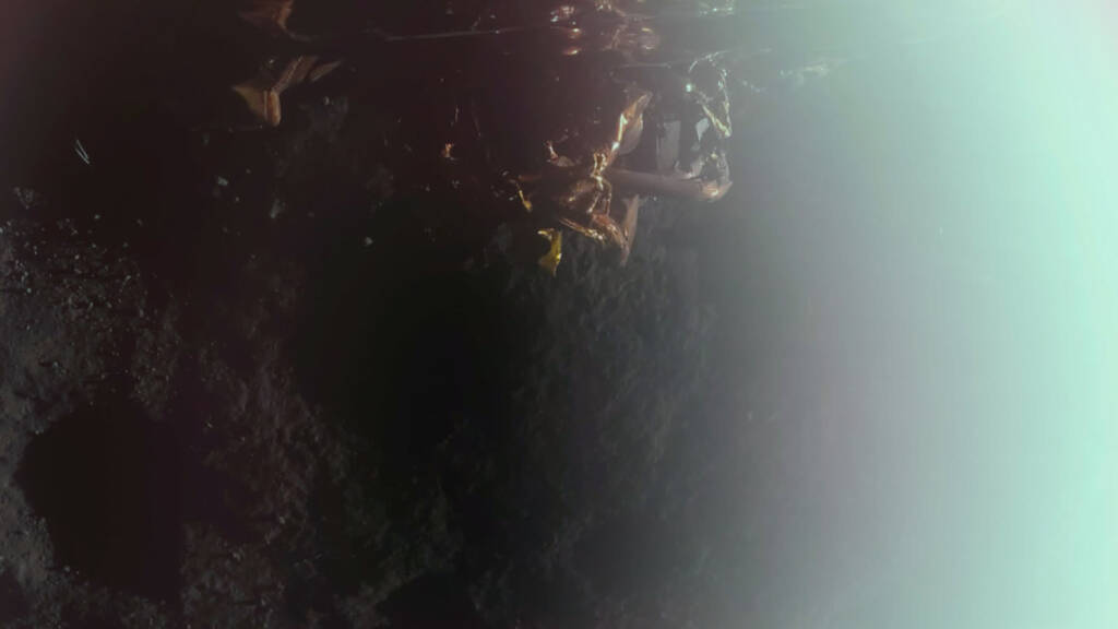 Blue Ghost na Księżycu. Pomoże wrócić ludziom na Srebrny Glob 1 blue ghost 2025 03 02 151919