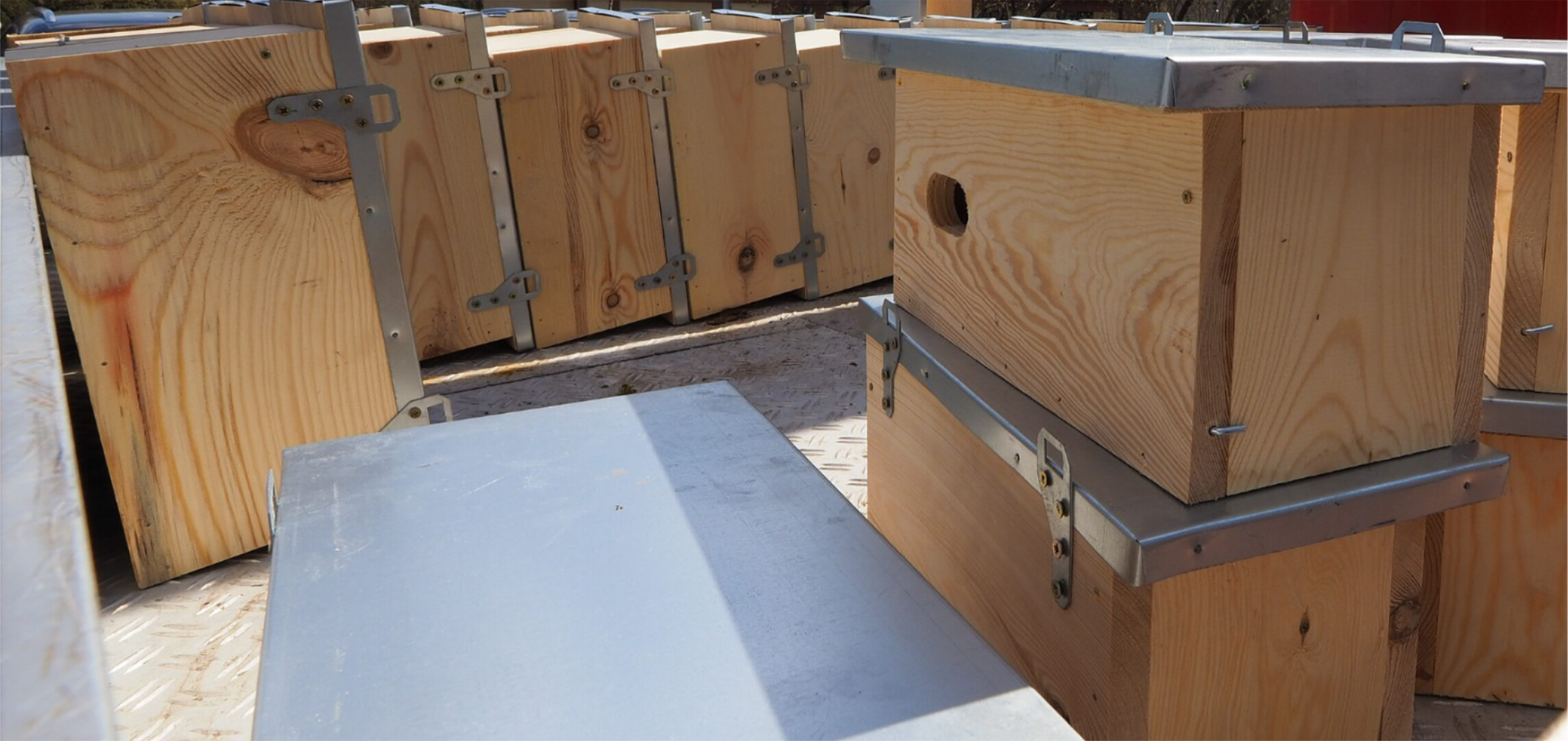 Naturalni sprzymierzeńcy ludzi. Jak możemy zadbać o jerzyki? 2 img_20210419_175808-2021-04-19-182910.jpg