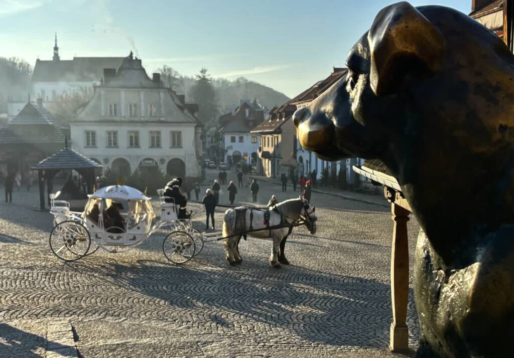 img 3904 2025 03 08 161016