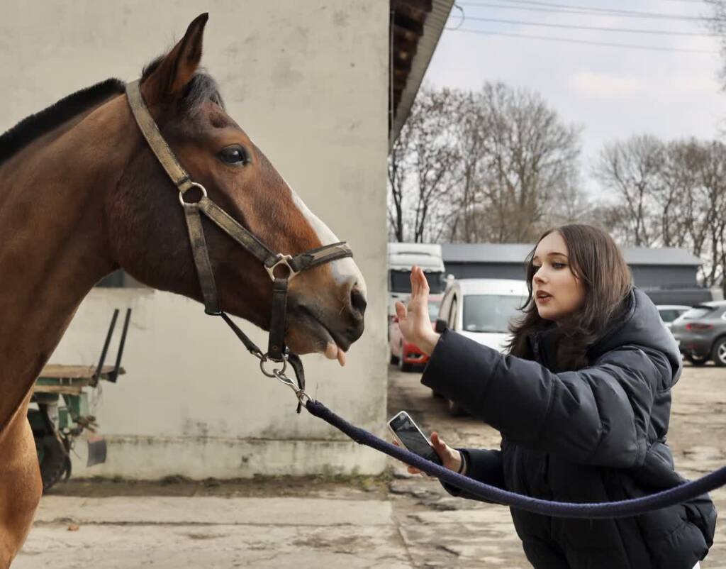 img 7999 2025 03 01 200921