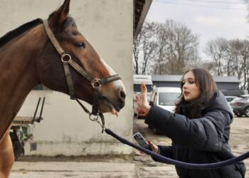 img 7999 2025 03 01 200921