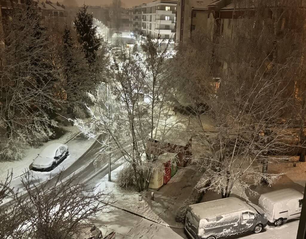 img 9010 2025 03 15 162236