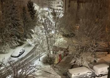 img 9010 2025 03 15 162236