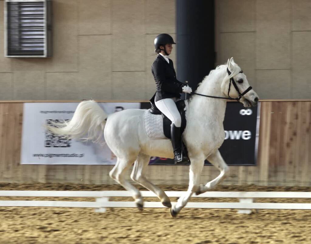 img 9643 2025 03 09 150412