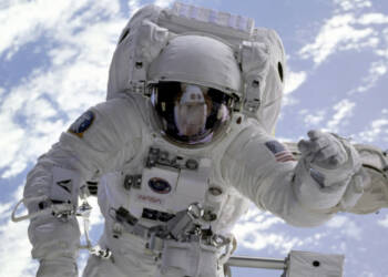 pexels pixabay 2152 2025 03 18 183641